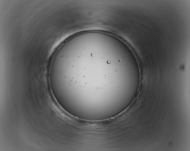 X0000116881460200912291232