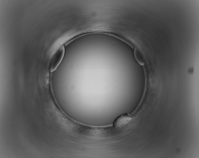 X0000116881461200912291232