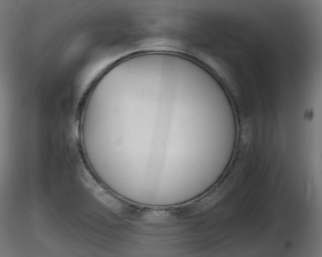 X0000116881462200912291232