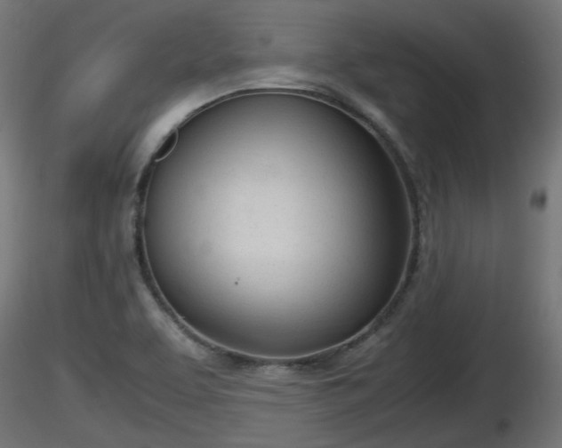 X0000116881463200912291232