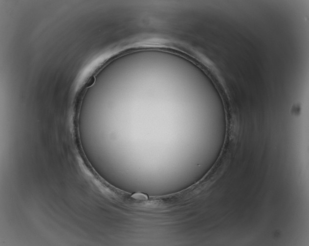 X0000116881464200912291232