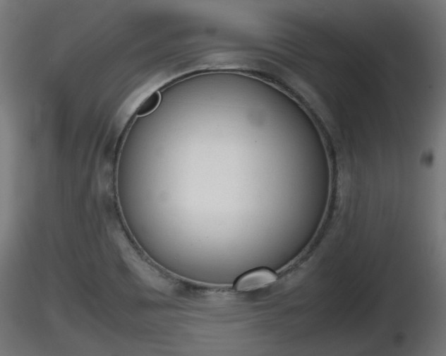 X0000116881465200912291232