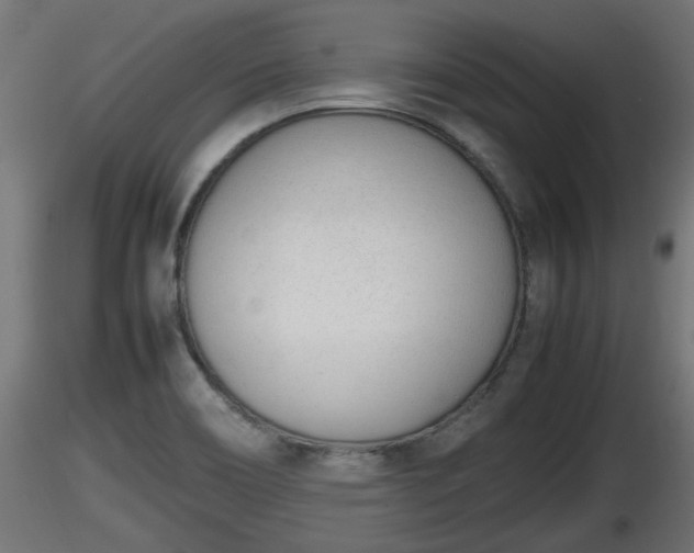 X0000116881466200912291232