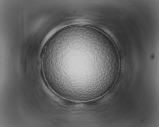 X0000116881467200912291232