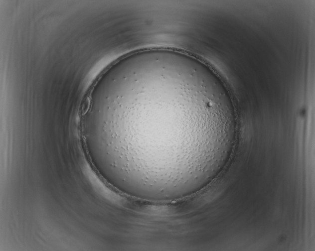 X0000116881468200912291232