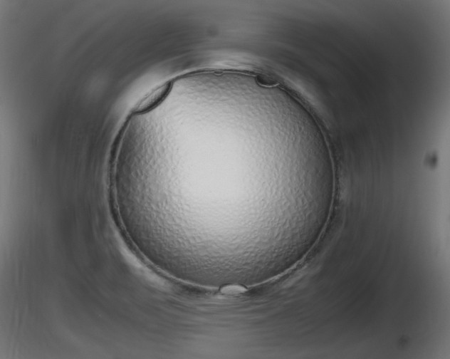 X0000116881471200912291232