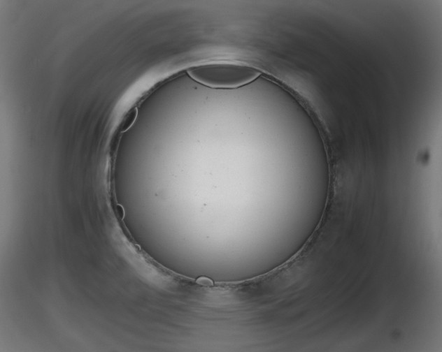 X0000116881472200912291232