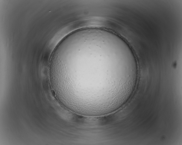 X0000116881473200912291232