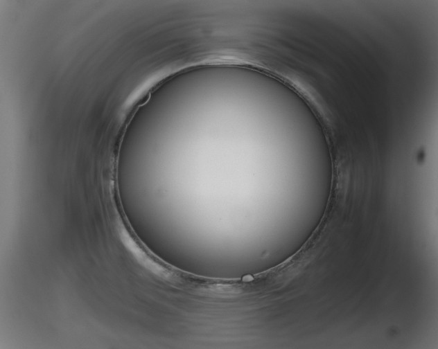 X0000116881476200912291232