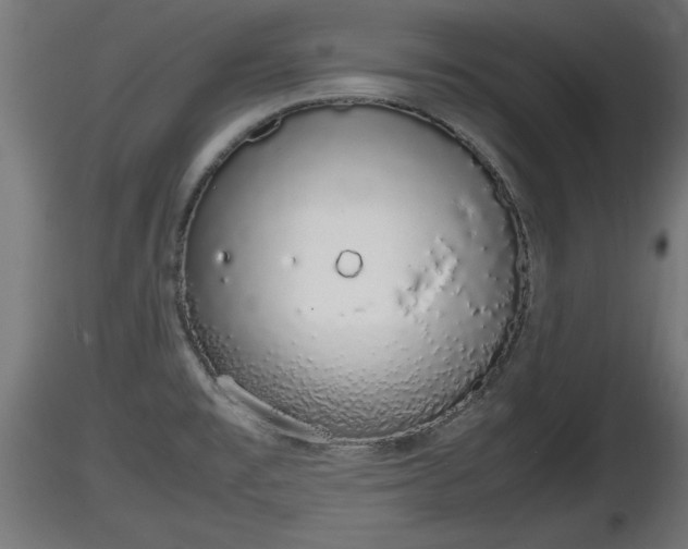 X0000116881477200912291232