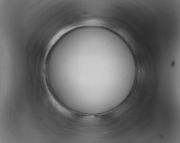 X0000116881478200912291232