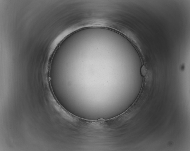 X0000116881480200912291232