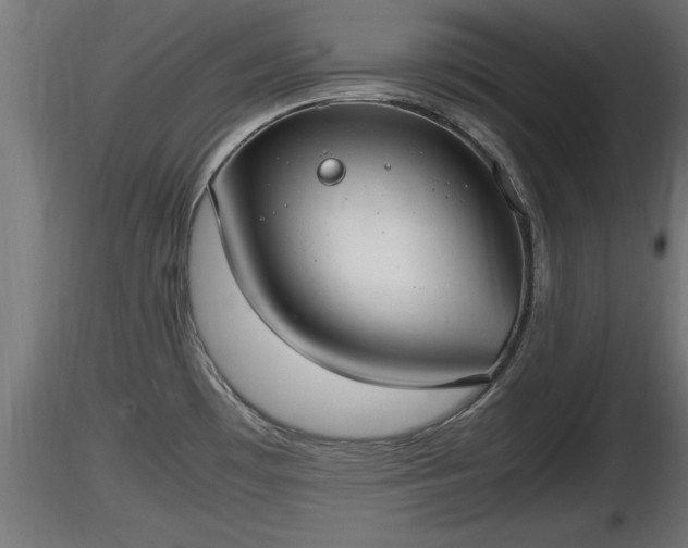 X0000116881481200912291232