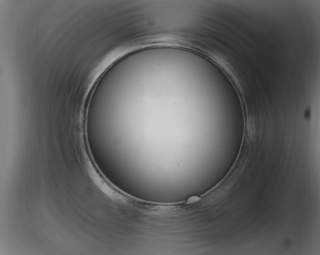 X0000116881482200912291232