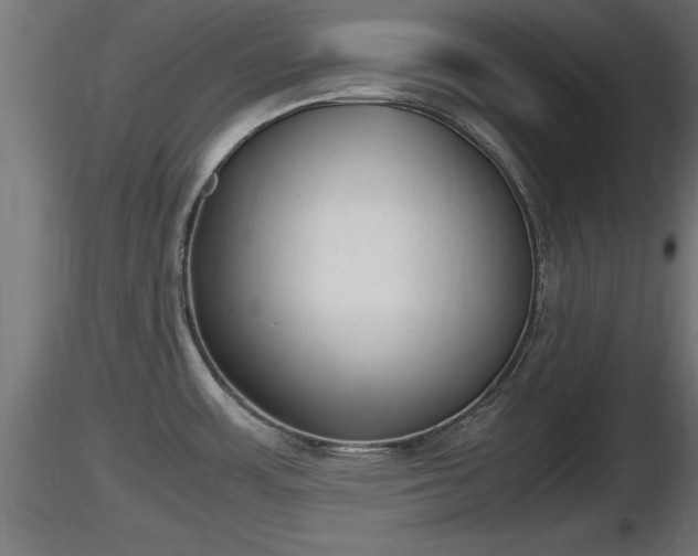 X0000116881483200912291232
