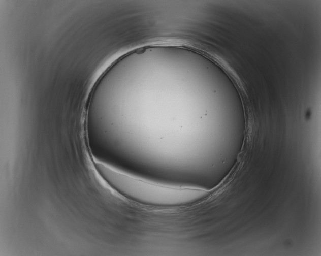 X0000116881484200912291232