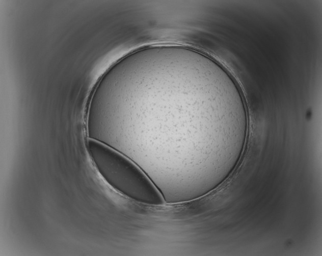 X0000116881485200912291232
