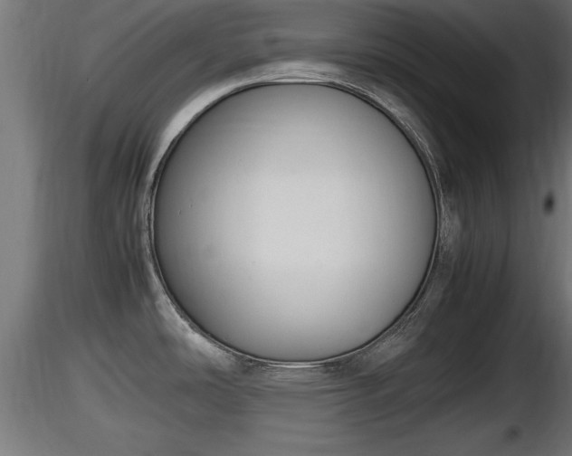 X0000116881486200912291232