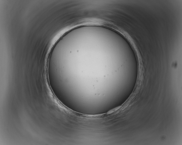 X0000116881488200912291232