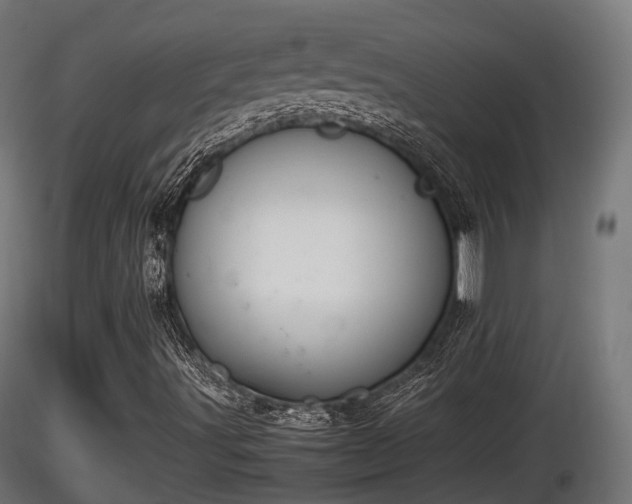 X0000116881491200912291231