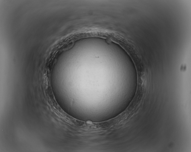 X0000116881493200912291231