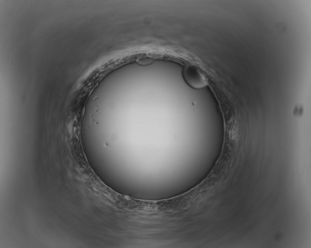 X0000116881495200912291231