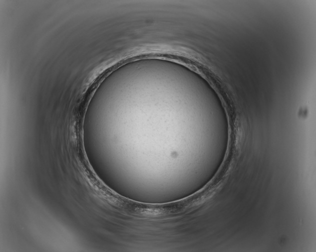 X0000116881497200912291231