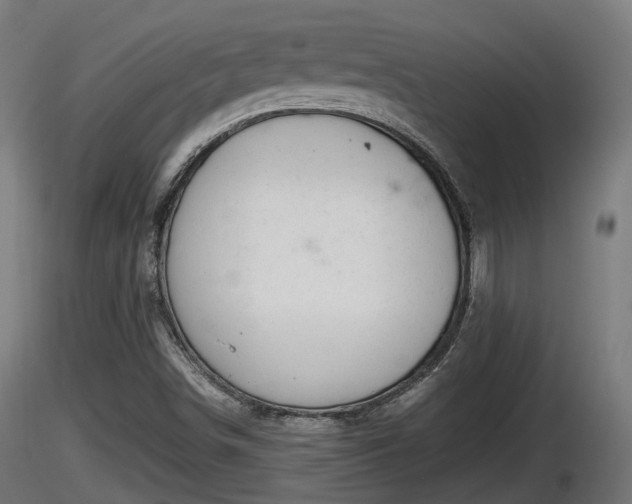 X0000116881498200912291231