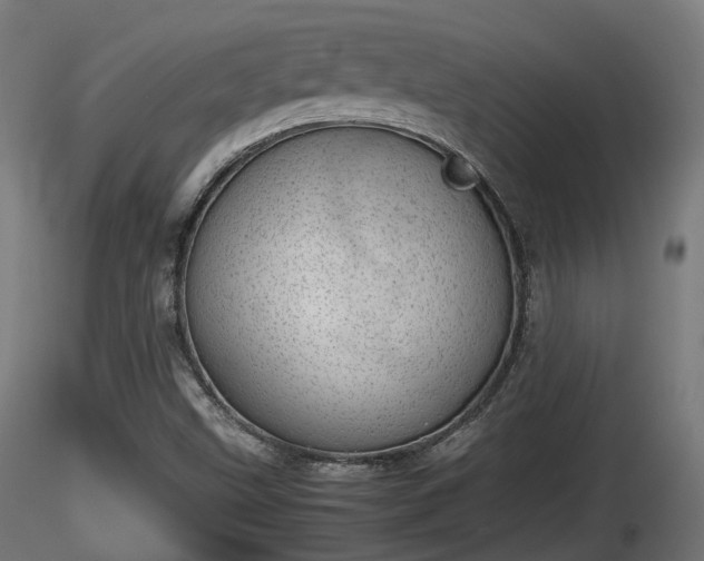 X0000116881499200912291231