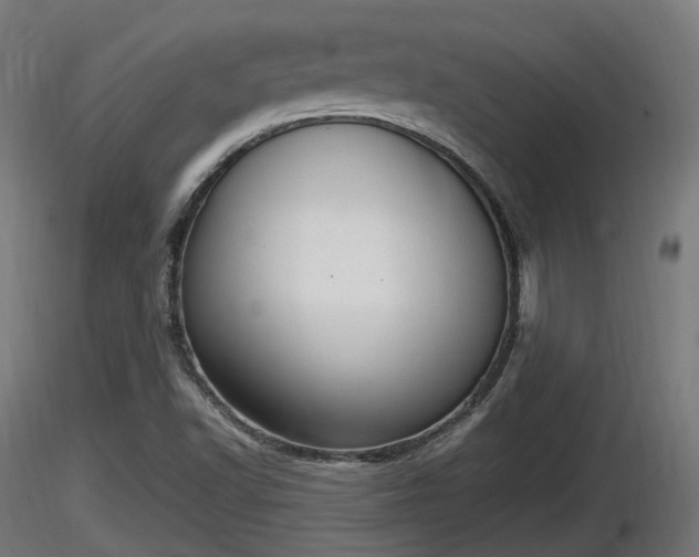X0000116881502200912291231