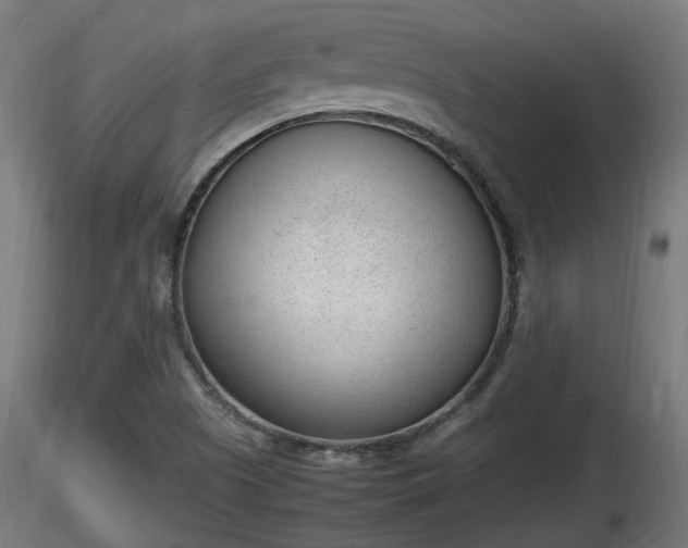 X0000116881505200912291231