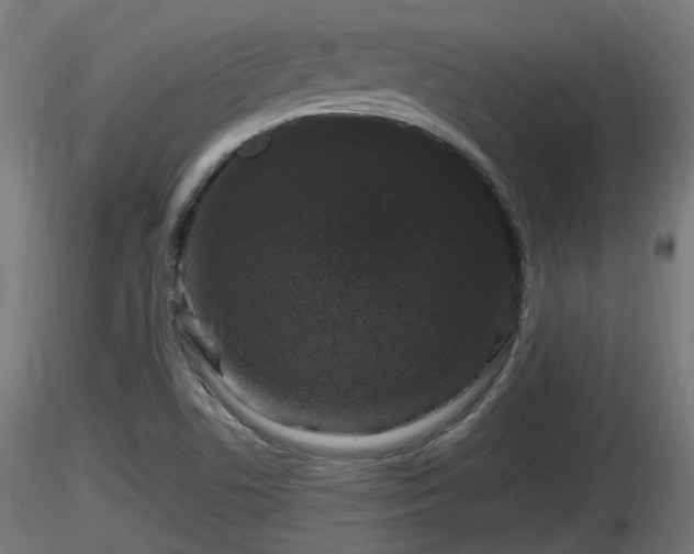 X0000116881506200912291231