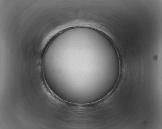X0000116881507200912291231