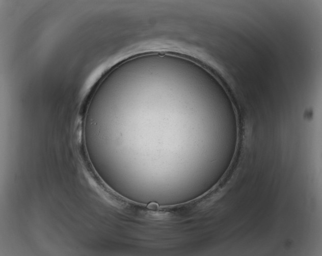 X0000116881509200912291231