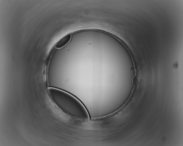 X0000116881510200912291231