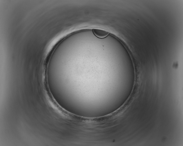 X0000116881511200912291231