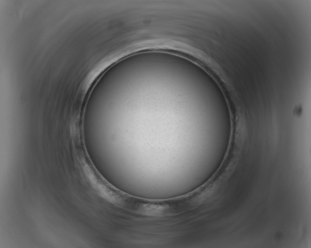 X0000116881513200912291231