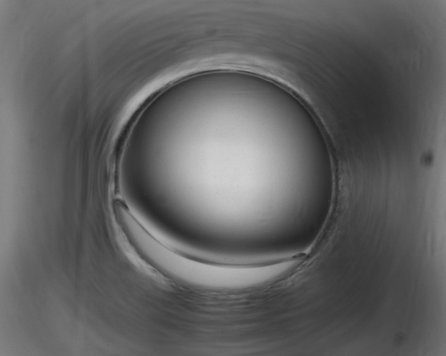 X0000116881515200912291231