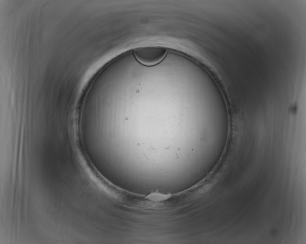 X0000116881517200912291231