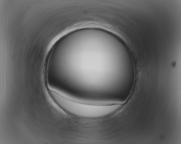 X0000116881518200912291231