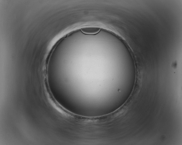 X0000116881519200912291231
