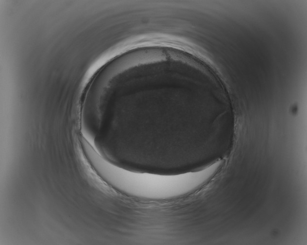 X0000116881522200912291231