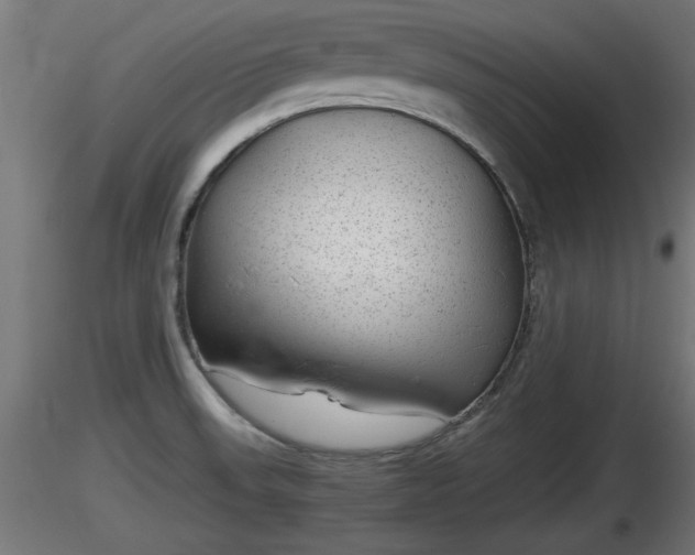 X0000116881523200912291231