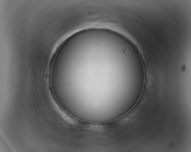 X0000116881525200912291231