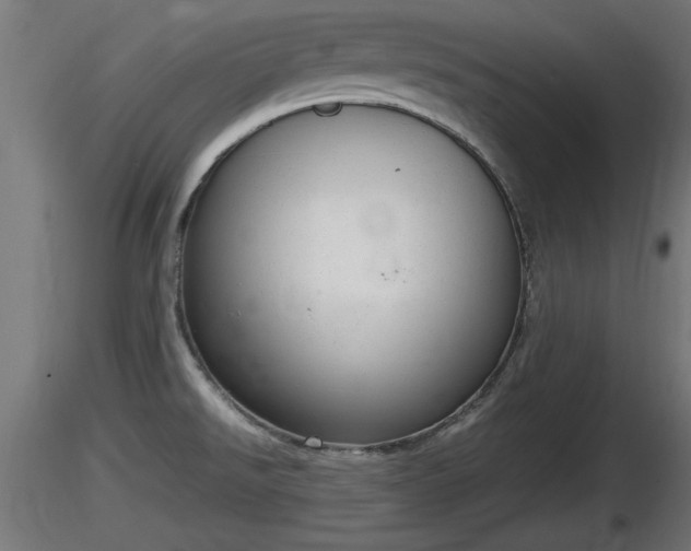 X0000116881526200912291231