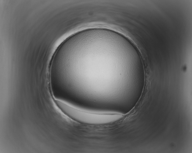 X0000116881527200912291231