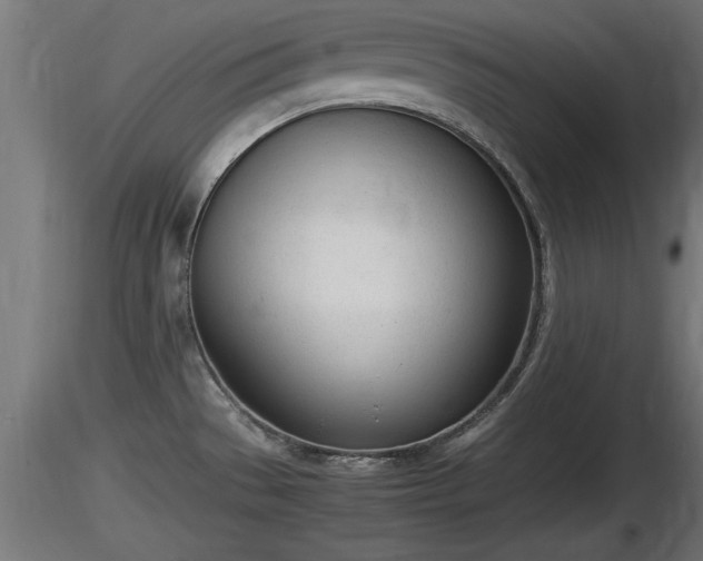 X0000116881529200912291231