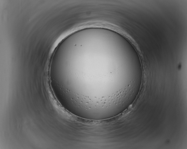 X0000116881530200912291231