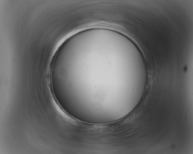 X0000116881531200912291231