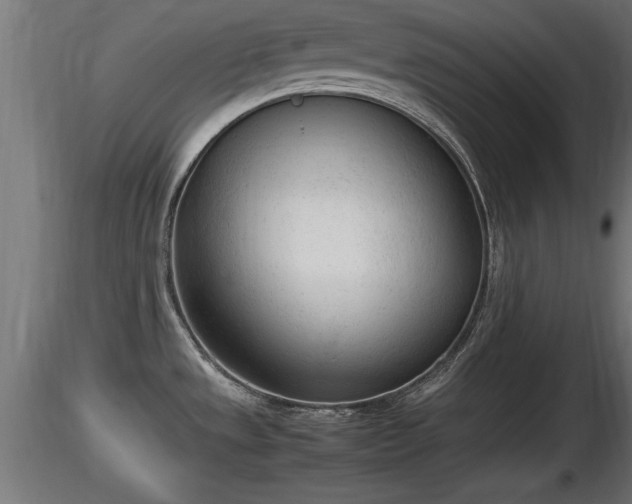 X0000116881533200912291232